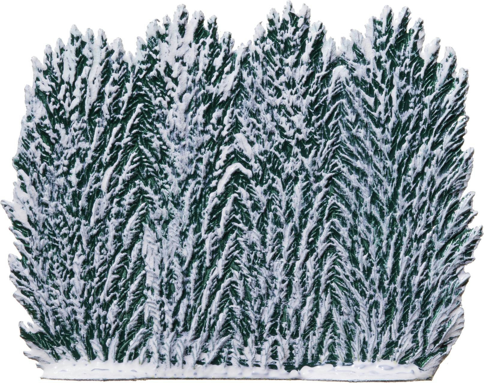 Hecke im Winter