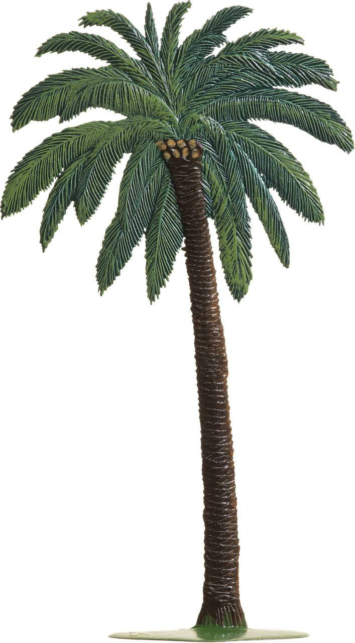 kleine Palme – Produktfoto