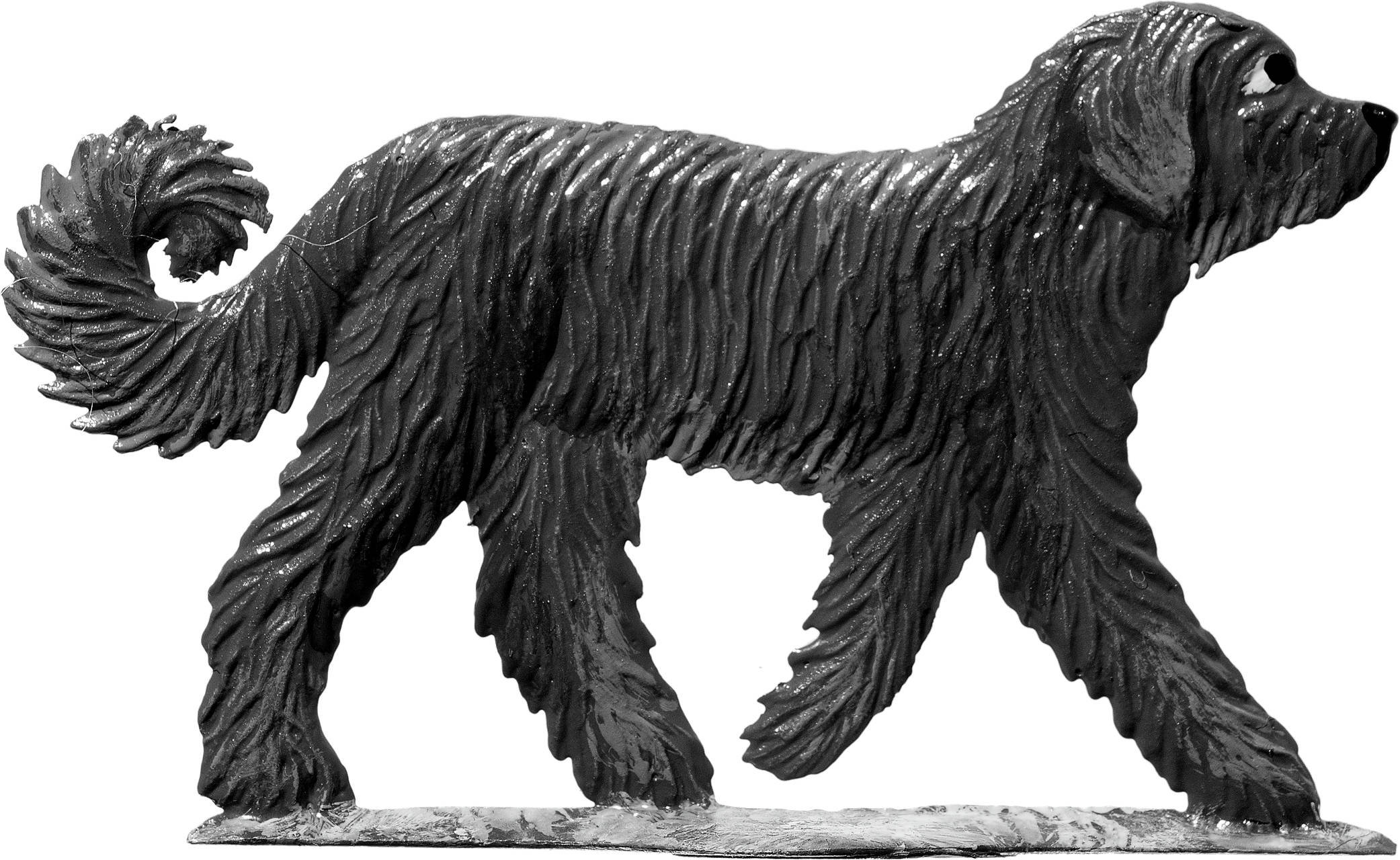 Hunde Welpe 3 – Produktfoto