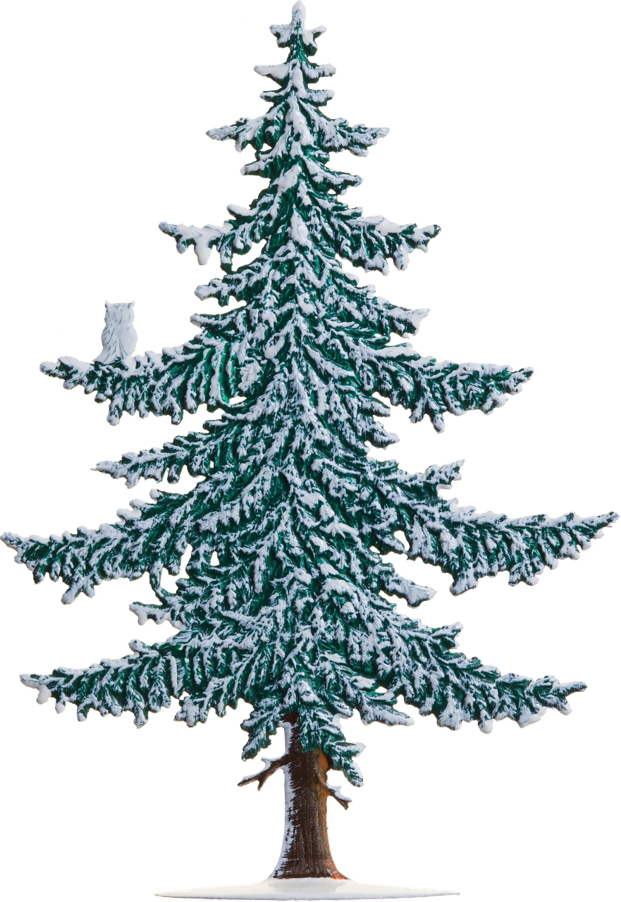 Tanne  mit Schnee