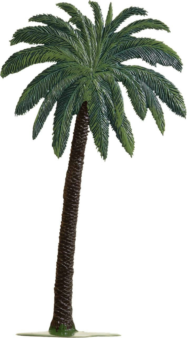 kleine Palme – Produktfoto