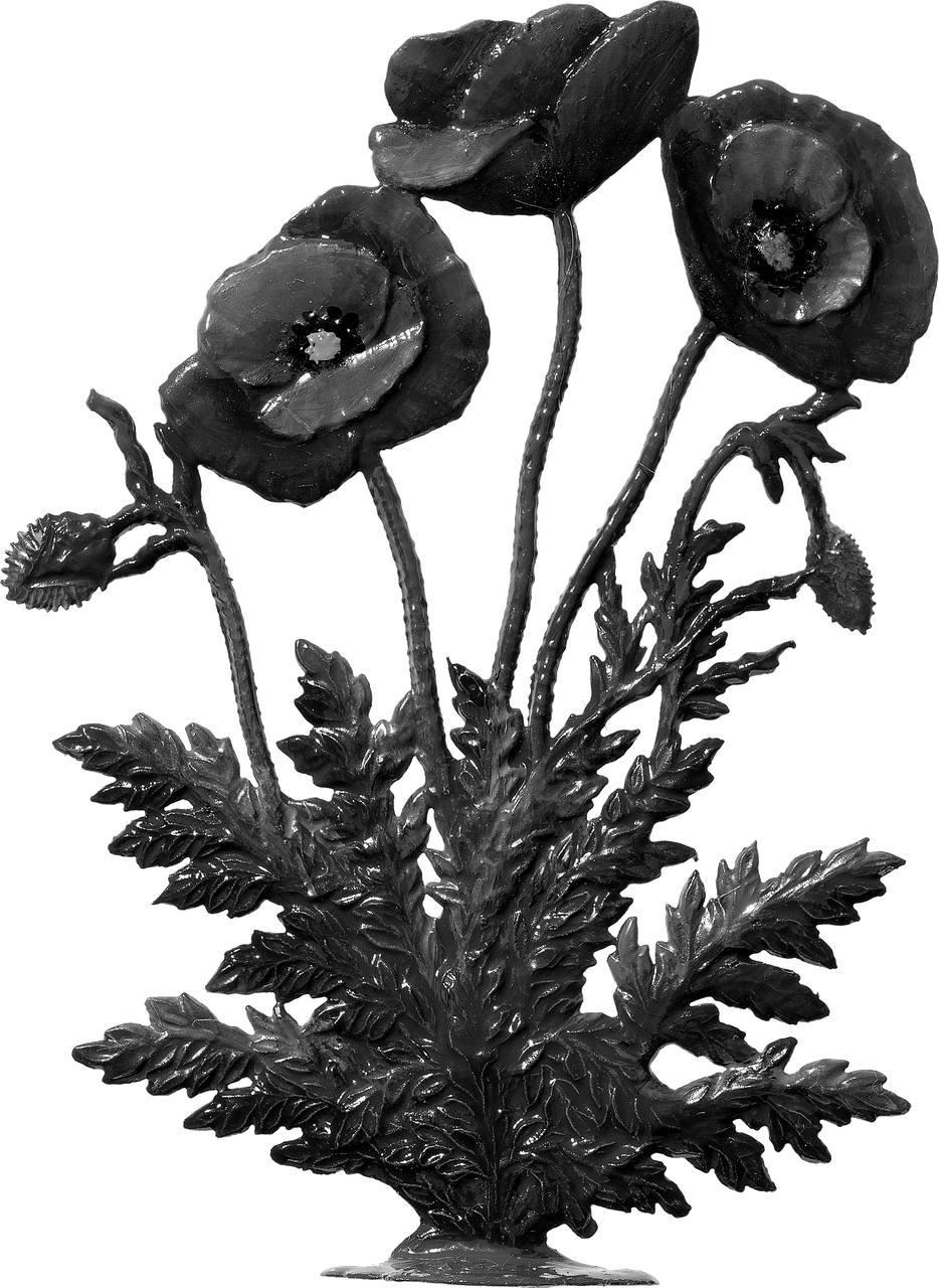 Klatschmohn – Produktfoto