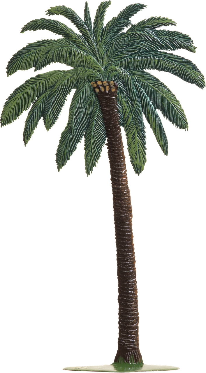 kleine Palme