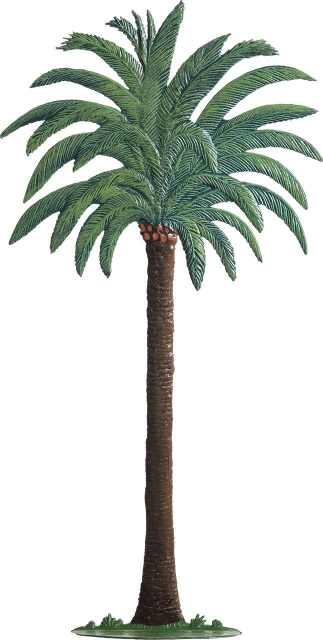 Palme – Produktfoto