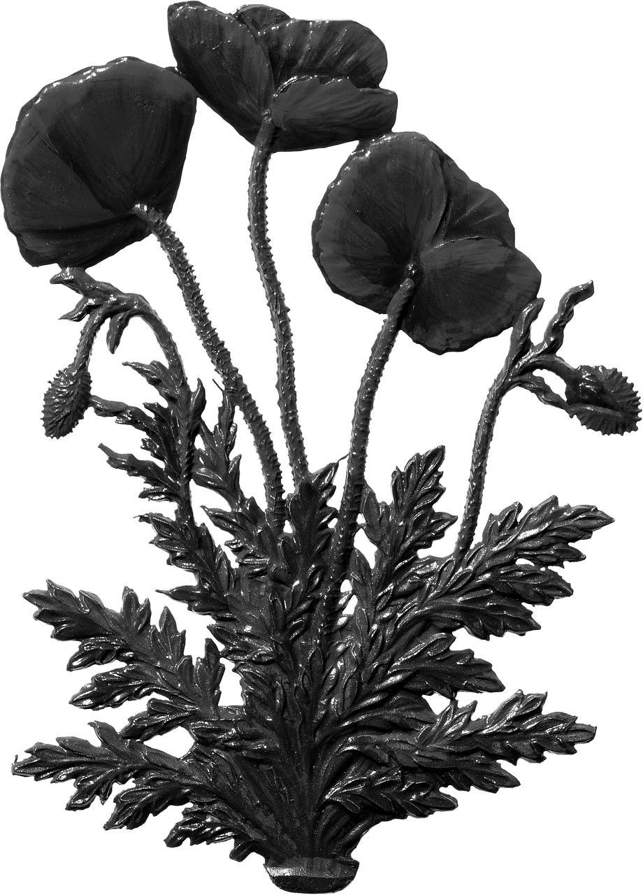 Klatschmohn – Produktfoto