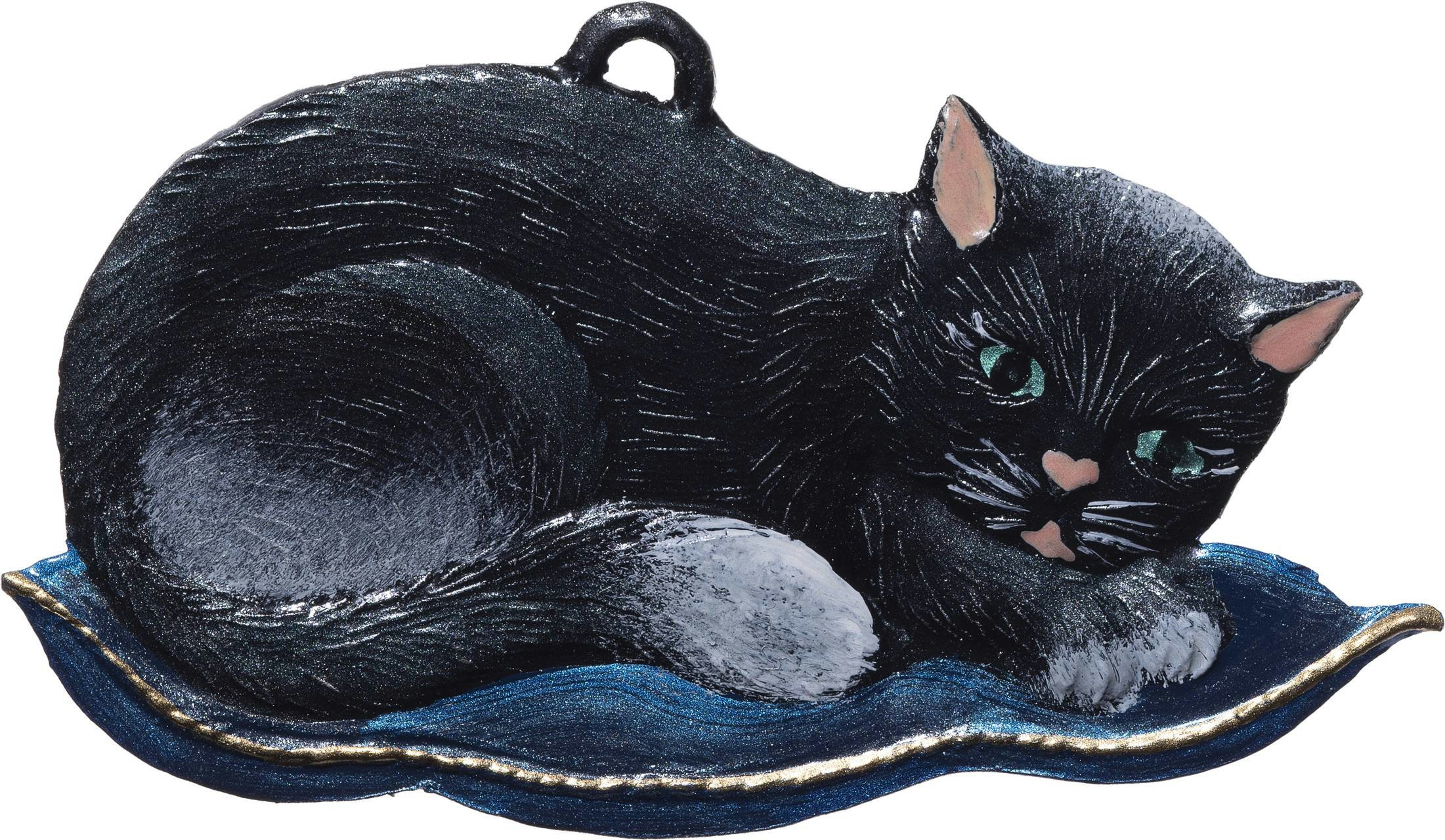 Katze auf Kissen – Produktfoto