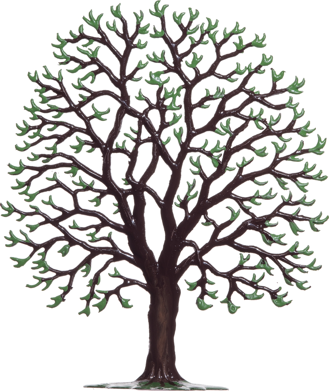 Winterkastanie, grüne Knospen